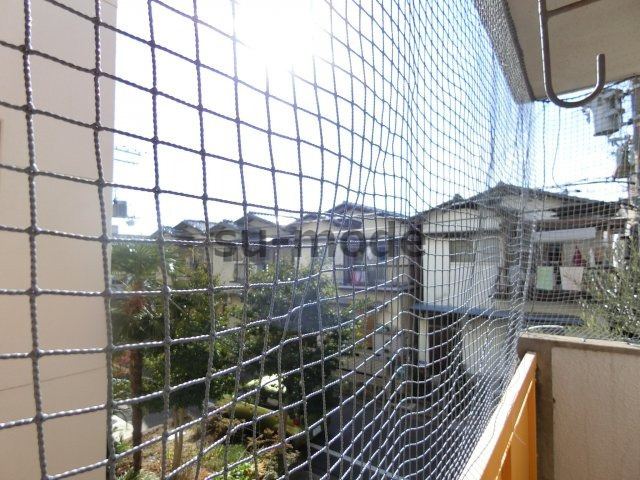 アンフィニィ橋の内Ⅰの展望