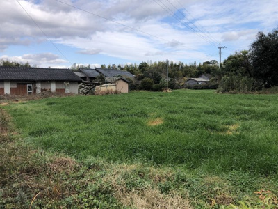  | 入来町副田字新町土地