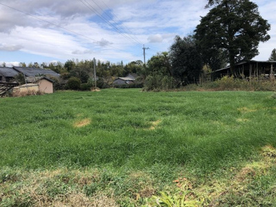  | 入来町副田字新町土地