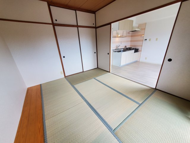 ツインティ木本のその他