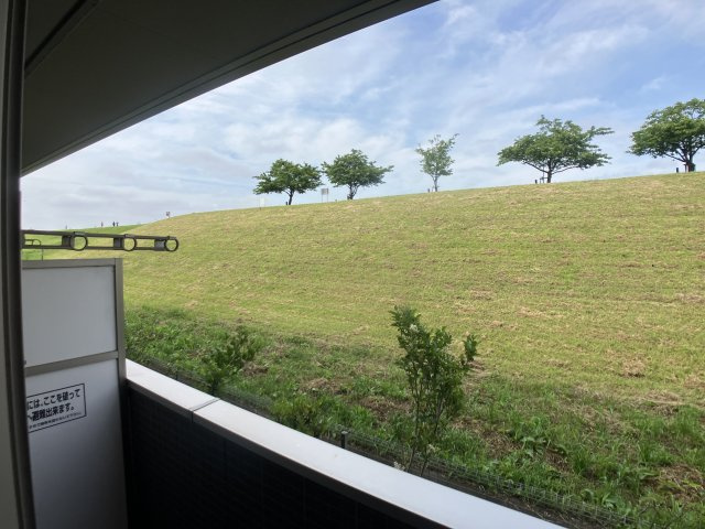 南桜の展望