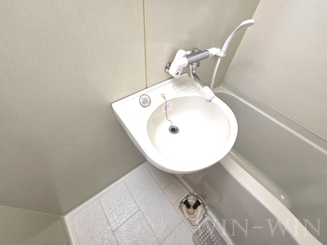 サンヒルズマキノの洗面所