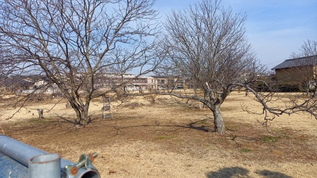 売地　小美玉市羽鳥の外観