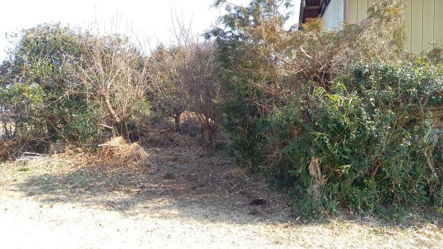 売地　小美玉市羽鳥の外観