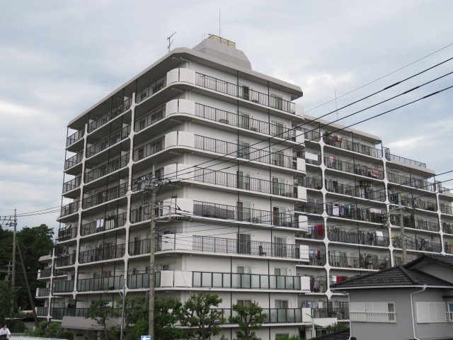 ハイラーク川越の外観