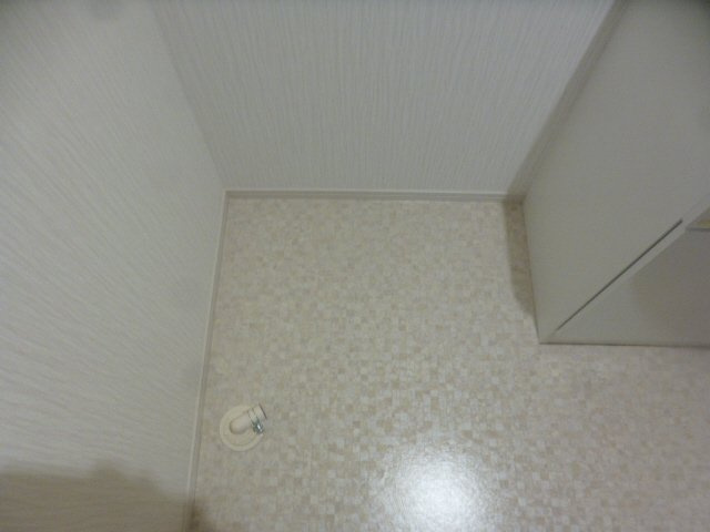 ラインハイトのその他