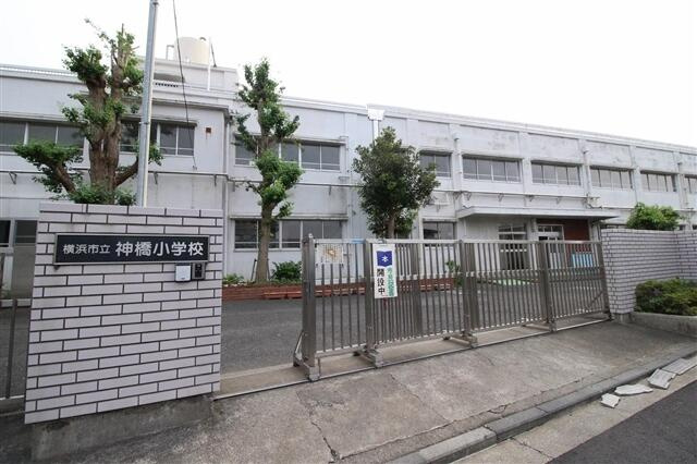 横浜市立神橋小学校まで224m