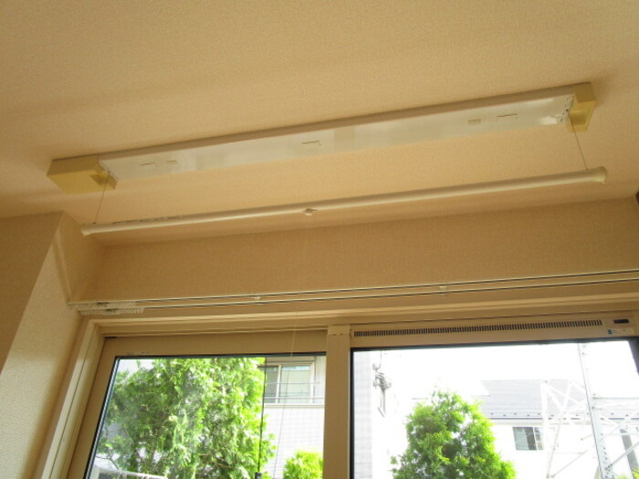 エーデルワイスのその他