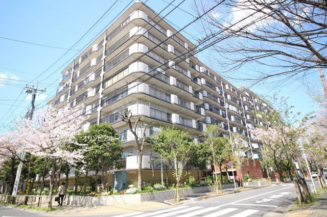 ハイラーク船堀　リ　ノベーション済