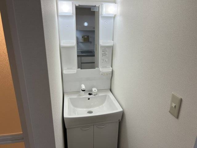 今出川アイビーハウスの洗面所