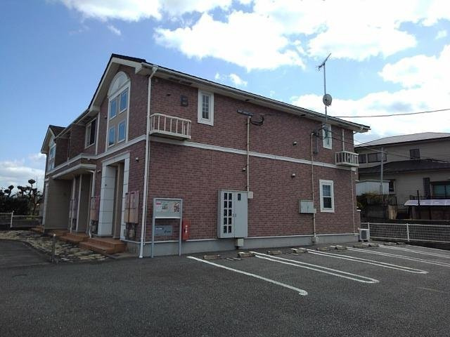 プリムローズ　Ｂ