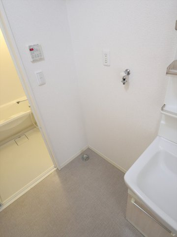 シャーメゾンサランBの洗面所