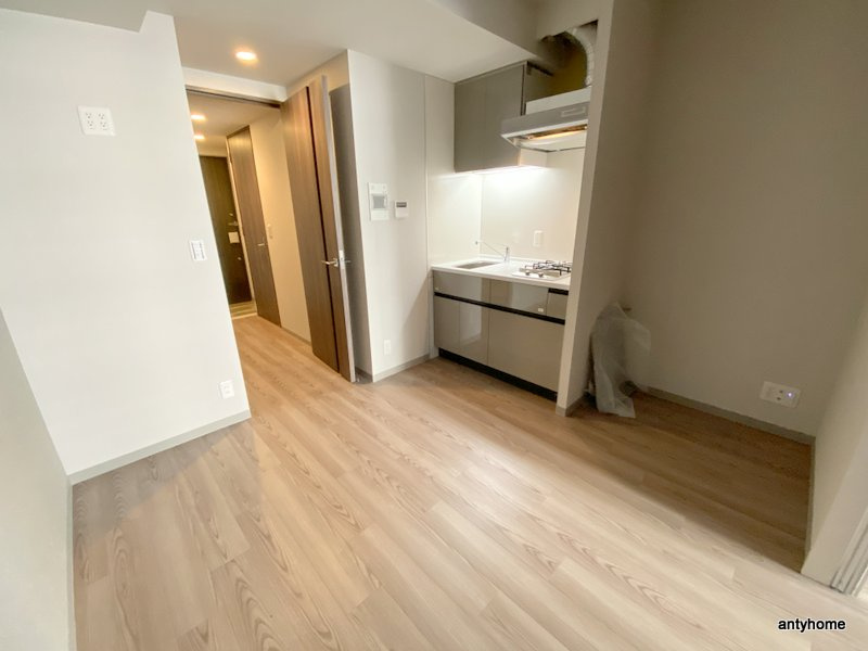 ルフォンプログレ堺筋本町タワーレジデンス　仲介手数料無料の洋室