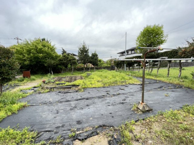 【その他】 | 朝日旅館