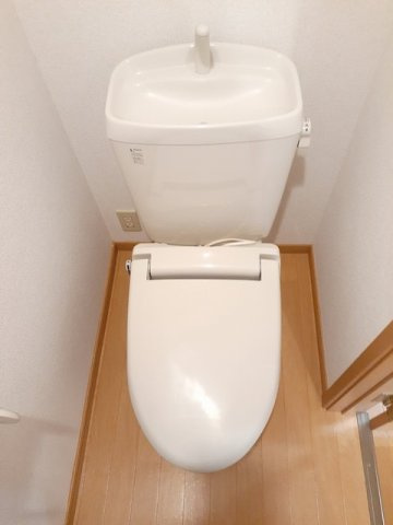 バンブーフォレスターのその他