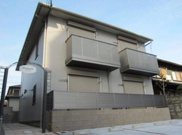 ポラリスの画像