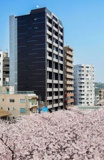 目黒区大橋１丁目のマンションの画像