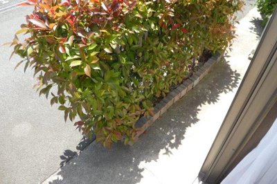 【バルコニー】 | アメニティハイツⅡ | テラス