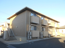 Primrose（プリムローズ）の画像