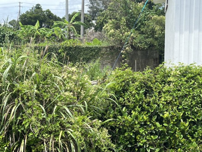  | 糸満市与座土地