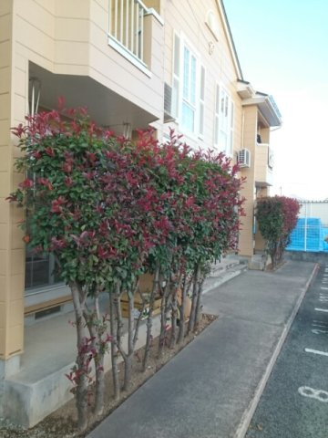 パレクロスロードＣのその他共用部分|その他