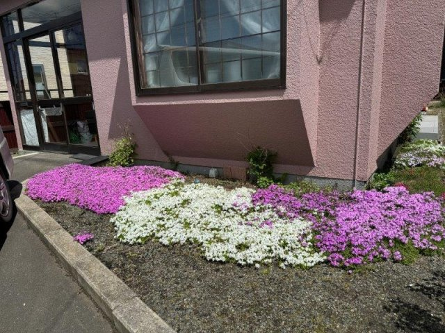 鶴野東４丁目　閑静な住宅街でリノベーションにいかがですか。