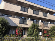 チェスナッツの画像