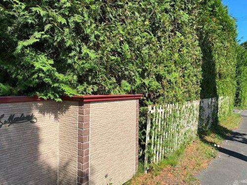 標茶町常盤　中古住宅の外観|グリーンの壁が癒される生垣
