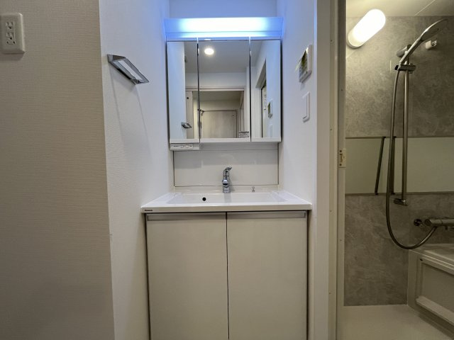 ソルテラスOSAKA EAST GATEの独立洗面台|同マンション反転タイプを表示しています