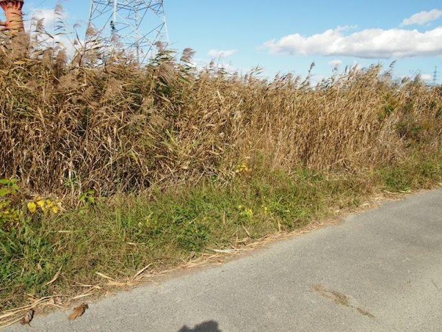 泉田町森裾売土地の外観
