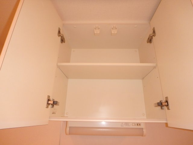 レジディア武蔵小杉の収納|別部屋参考写真です