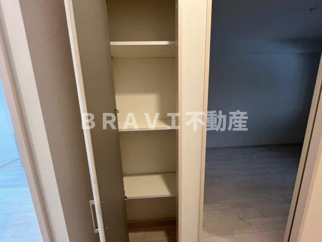 スプランディッド難波WESTⅡの収納|小物を収納するのに便利です