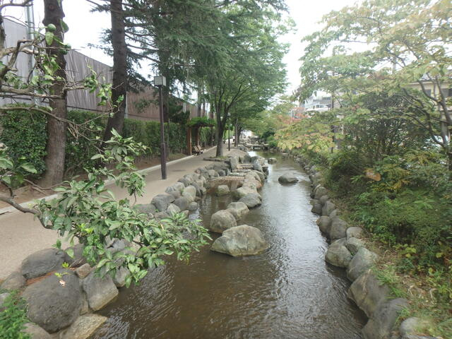 一之江境川緑地まで20m