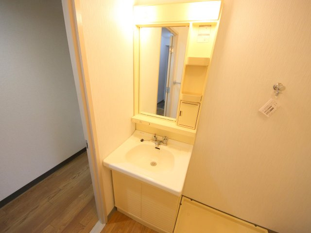 メゾン東生駒YD3番館の洗面所