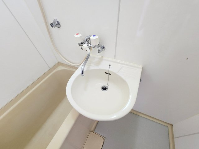 シャンテムーランの洗面所