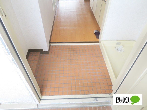 エクセレント河の玄関