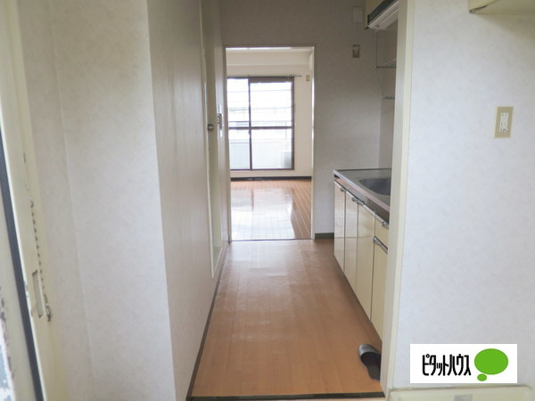 エクセレント河のその他