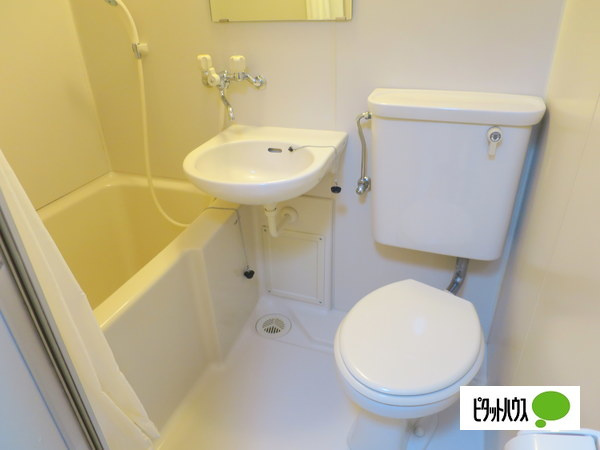 エクセレント河の浴室