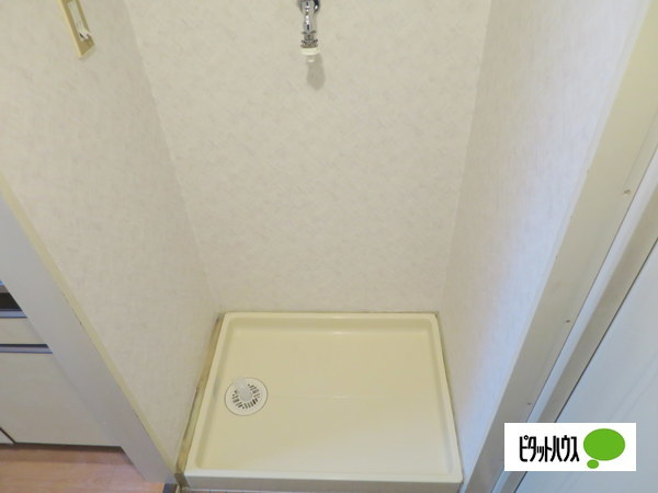 エクセレント河の洗面所