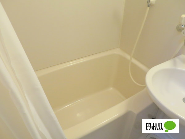 エクセレント河の浴室