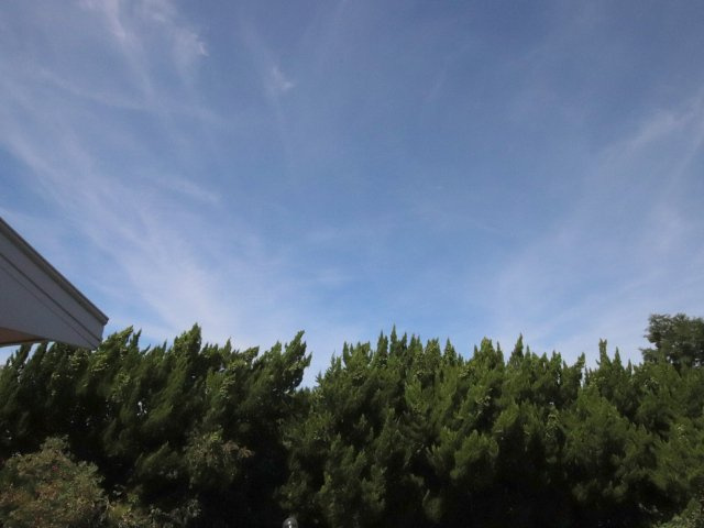 チェリーヒルズのその他