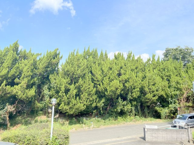 チェリーヒルズの展望