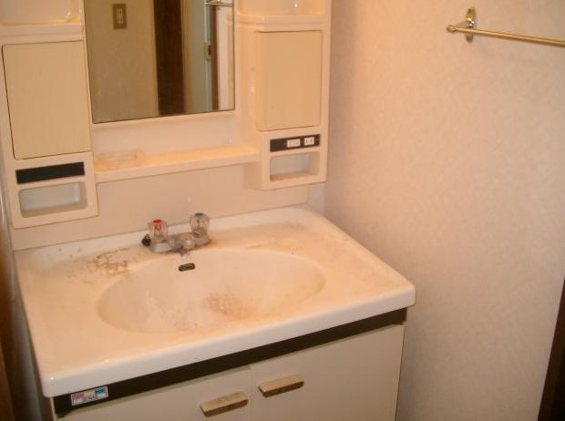 生駒市壱分町の賃貸マンションの洗面所