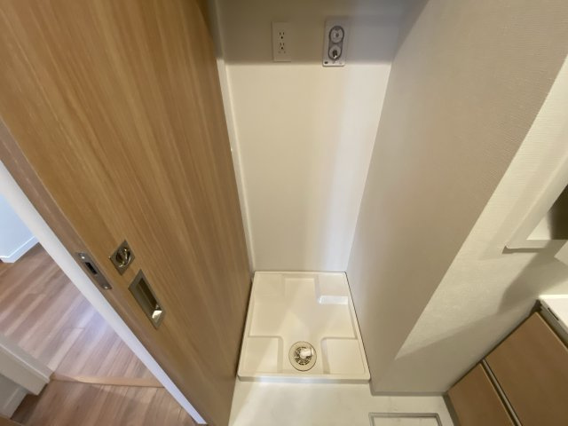 ケイマンのその他