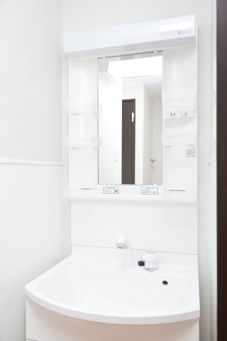 フェイバル二条の洗面所