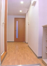 Viscaria 光樹のその他