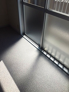 【その他】 | Wing　Shallow