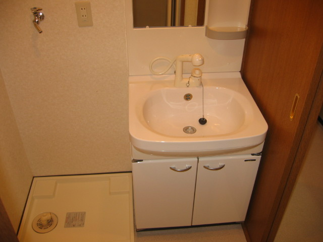 メゾン・レイシーの洗面所