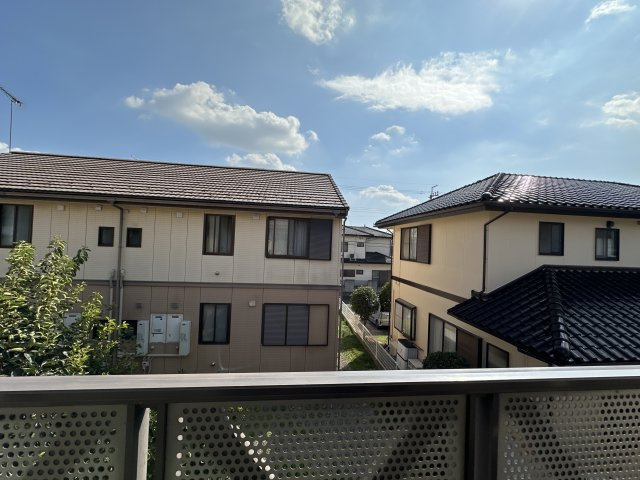 【展望】 | エバーグリーンC