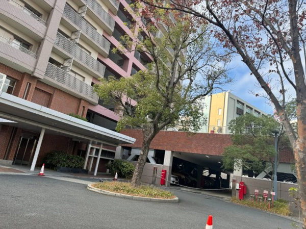 【駐車場】 | 【敷地内駐車場】きちんと整備されたきれいな駐車場です！十分な広さがあり、車の出し入れもスムーズ！